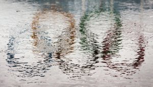 Исполком МОК поддержал решение IAAF по отстранению российских легкоатлетов