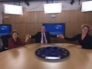 Евродепутаты Прибалтики подали в Европарламент петицию о правах неграждан