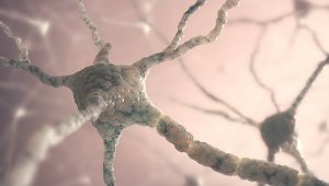 Российские медики создали препарат для лечения рассеянного склероза