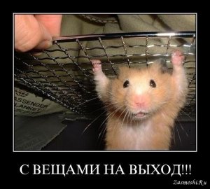 [Brexit: шаг за шагом] Еврокомиссар от Великобритании Джонатан Хилл покинет своей пост 15 июля