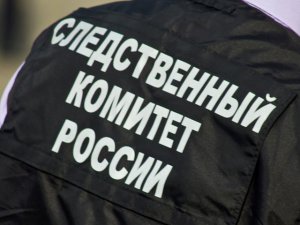 В МиГе нашли комплексное хищение