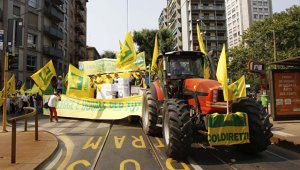 В Вероне проходит многотысячный  митинг против против продления антироссийских санкций