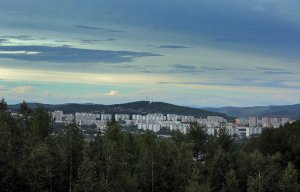 Путин подписал закон о создании "зеленого щита" вокруг крупных городов