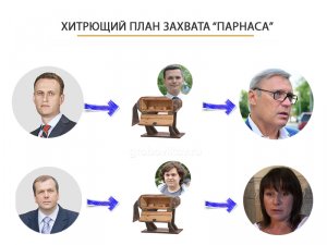 Скандалы в вологодском "Парнасе" могут быть связаны с попытками захватить партию через региональные отделения