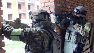 В Дагестане уничтожены девять боевиков во главе с лидером «махачкалинской банды»