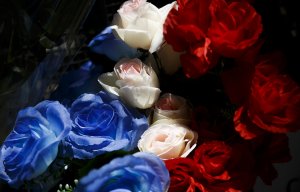 Художница Charlie Hebdo нарисовала карикатуру на теракт в Ницце