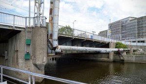 Гигантский сом мешает чинить мост в Калининграде и пугает водолазов