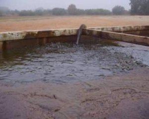 Подмосковное озеро превратилось в отстойник мазута