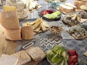 В Астрахани будут производить сыр из молока коров, которые слушают классическую музыку