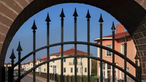 «Для властей садовых товариществ как бы не существует»