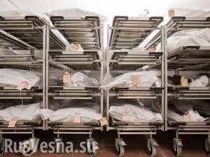 Под Киевом обнаружен подпольный морг