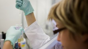 Die Zeit: В позорном олимпийском зачете США – на первой строчке