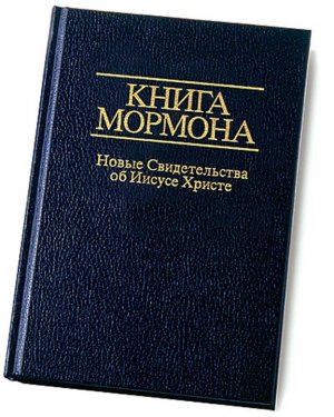 Во Владивостоке полиция изъяла порнографию в офисе мормонов