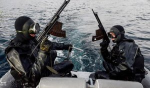 Боевые пловцы Росгвардии защитят мост в Крым