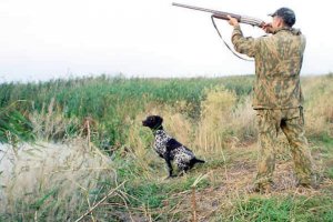 Любители охоты из Евросоюза собираются приехать в Крым