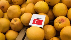 Россия создает инвестфонд с Турцией объемом $1 млрд