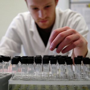 Россиянин Алоян попал в новый хакерский список атлетов, принимавших допинг