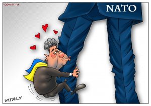 Наблюдатели НАТО не приедут на учения в Крым