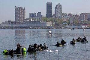 Морское послушание. Бизнес заставят укреплять берега и убирать мусор