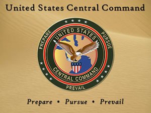 Пентагон: подготовка к созданию Совместного исполнительного центра с РФ приостановлена