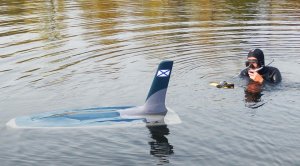 Мост в Крым защитят дроны-подлодки