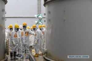 В районе "Фукусимы-1" обнаружена высокая концентрация радиоактивного цезия