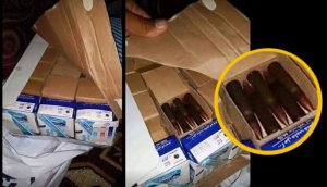 Американское отчаянье в Сирии