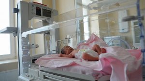 «Транслировать в социум бурную поддержку отмены бесплатного абортирования ни в коем случае нельзя»