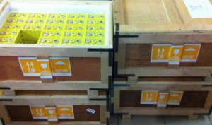 В Новосибирске начато производство новых литий-ионных аккумуляторов