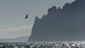 Власти Крыма объяснили, почему США не признают запрет меджлиса в России