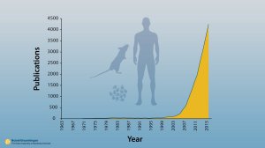 Нобелевскую премию по медицине вручили за изучение «самопоедания» клеток