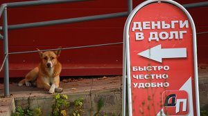 С 2017 года требовать долг от 50 тыс. рублей можно только через коллектора. За напоминание о задолженности граждан ждет штраф до полумиллиона рублей