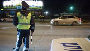 В России может появиться "тест на идиота" для пьяных водителей