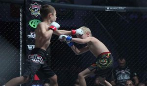 Они же дети, или Скандальный Grand Prix Akhmat-2016: статья