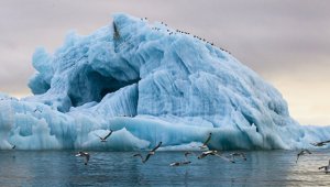 Российские специалисты научились двигать айсберги в арктических морях