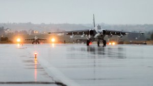 Безвозмездно и бессрочно: Совфед ратифицировал договор о размещении ВКС России в Сирии