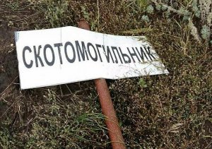 Самарские чиновники заложили под регион биологическую бомбу