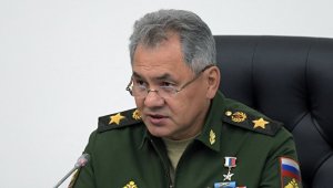 Шойгу рассказал, когда начнут работу по отделению террористов от оппозиции