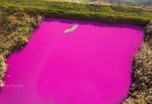 Уникальное розовое озеро обнаружено на Ставрополье