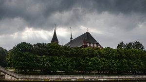 Медики Балтфлота проведут медосмотр всех желающих калининградцев