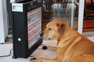 Министерство ЖКХ Амурской области не справляется с коммунальными бедами региона