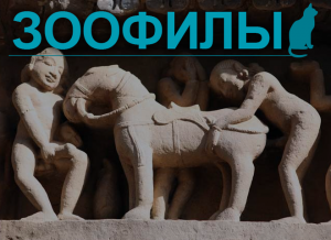 [«мохнатые любовники»] Исповедь московского зоофила-кинолога: первый секс с собакой у меня был в 17 лет