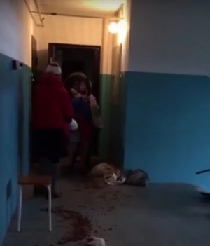13-летняя девочка организовала нападение подростков на свою семью из-за любви
