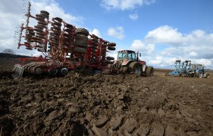 Режим ЧС из-за гибели урожая введен в Тульской области  Подробнее на ТАСС: http://tass.ru/v-strane/3753637