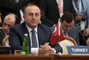 Глава МИД Турции готов лично принести извинения вдове лётчика Су-24 ВКС РФ