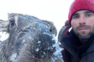 Мужчина на Алтае спас лося, провалившегося под лед