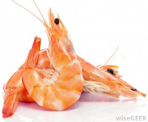 Креветки с мышьяком: какими морепродуктами травят россиян