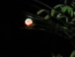 В Севастополе в День народного единства заметили НЛО