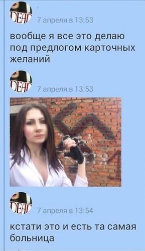 Хабаровские живодерки, помимо собак, мучили и резали ножом бомжа
