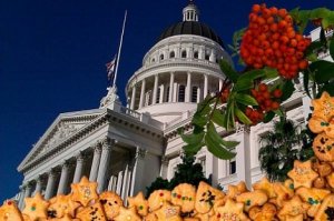 Как и для чего конгресс США пытается поссорить Удмуртию с финно-угорским миром